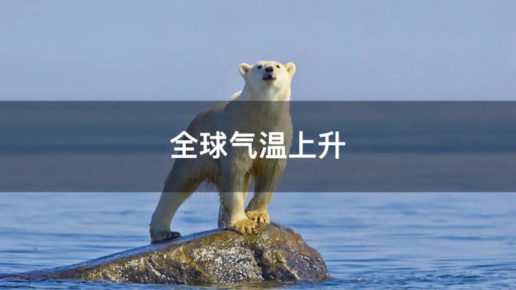 螞蟻商聯(lián)攜手金好來超市發(fā)起“以竹代木，翠我山河”植樹節(jié)活動(dòng)，從改變生活習(xí)慣開始！喊你為公益接力~